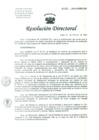 Vista preliminar de documento Resolucion de Dirección General