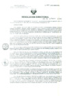 Vista preliminar de documento Resolucion de Dirección General