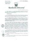 Vista preliminar de documento Resolucion de Dirección General