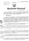 Vista preliminar de documento Resolucion de Dirección General