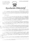 Vista preliminar de documento Resolucion de Dirección General