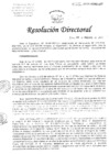 Vista preliminar de documento Resolucion de Dirección General