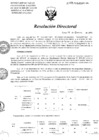 Vista preliminar de documento Resolucion de Dirección General