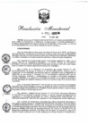 Vista preliminar de documento 990-2020-IN (Constituir Comision de Planeamiento Estratégico del Sector Interior para la elaboración del Plan Estratégico Sectorial Multianual (PESEM) 2021-2025).