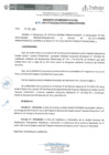Vista preliminar de documento RDE102-2015