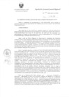 Vista preliminar de documento R.G.G.R. Nro. 154-2020-GGR-GR PUNO.pdf