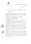 Vista preliminar de documento R.G.G.R. Nro. 163-2020-GGR-GR PUNO.pdf