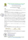 Vista preliminar de documento LÍDER GOBIERNO DIGITAL.pdf