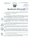 Vista preliminar de documento Resolución de Dirección General