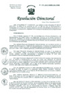 Vista preliminar de documento Resolución de Dirección General