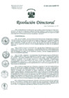 Vista preliminar de documento Resolución de Dirección General
