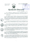 Vista preliminar de documento Resolución de Dirección General