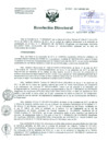 Vista preliminar de documento Resolución de Dirección General