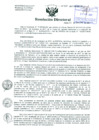 Vista preliminar de documento Resolución de Dirección General
