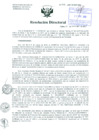 Vista preliminar de documento Resolución de Dirección General