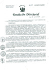 Vista preliminar de documento Resolución de Dirección General