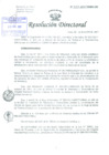 Vista preliminar de documento Resolución de Dirección General