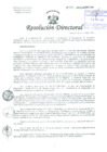 Vista preliminar de documento Resolución de Dirección General