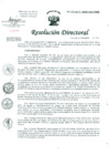 Vista preliminar de documento Resolución de Dirección General