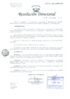 Vista preliminar de documento Resolución de Dirección General