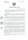 Vista preliminar de documento Resolución de Dirección General