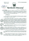 Vista preliminar de documento Resolución de Dirección General