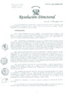 Vista preliminar de documento Resolución de Dirección General