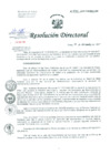 Vista preliminar de documento Resolución de Dirección General