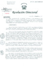 Vista preliminar de documento Resolución de Dirección General