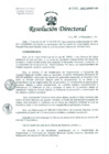 Vista preliminar de documento Resolución de Dirección General