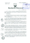 Vista preliminar de documento Resolución de Dirección General
