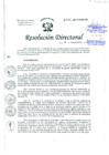 Vista preliminar de documento Resolución de Dirección General