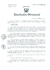 Vista preliminar de documento Resolución de Dirección General