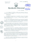 Vista preliminar de documento Resolución de Dirección General