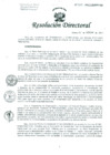 Vista preliminar de documento Resolución de Dirección General