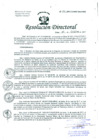 Vista preliminar de documento Resolución de Dirección General