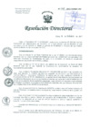 Vista preliminar de documento Resolución de Dirección General