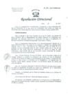 Vista preliminar de documento Resolución de Dirección General