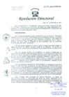 Vista preliminar de documento Resolución de Dirección General