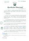 Vista preliminar de documento Resolución de Dirección General