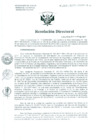 Vista preliminar de documento Resolución de Dirección General