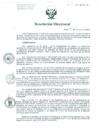 Vista preliminar de documento Resolución de Dirección General