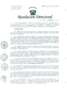 Vista preliminar de documento Resolución de Dirección General