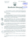 Vista preliminar de documento Resolución de Dirección General