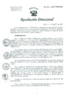 Vista preliminar de documento Resolución de Dirección General