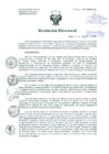 Vista preliminar de documento Resolución de Dirección General