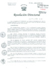 Vista preliminar de documento Resolución de Dirección General