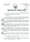 Vista preliminar de documento Resolución de Dirección General