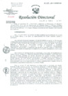 Vista preliminar de documento Resolución de Dirección General