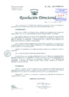 Vista preliminar de documento Resolución de Dirección General